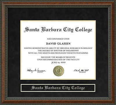 Santa Barbara City College (SBCC) Diploma Frame: Wordyisms