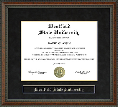 Westfield State University Diploma Frame: Wordyisms