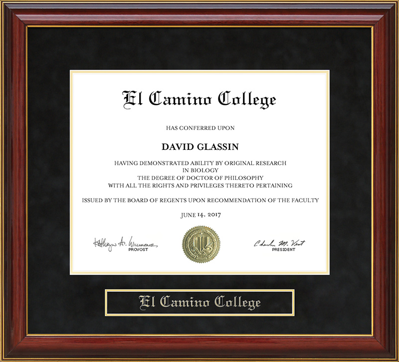 El Camino College Mahogany Diploma Frame: Wordyisms