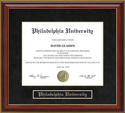 Philadelphia University (PhilaU) Mahogany Diploma Frame: Wordyisms