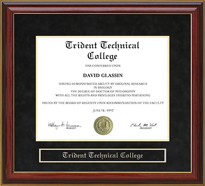 Trident Technical College Mahogany Diploma Frame: Wordyisms