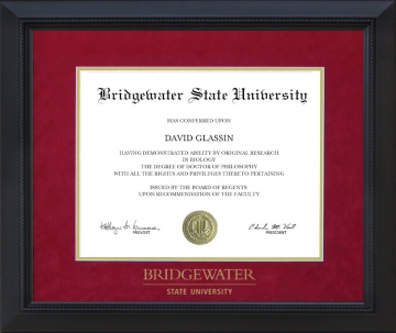 Bridgewater State University Diploma Frame with Embossed UltraSuede Matting