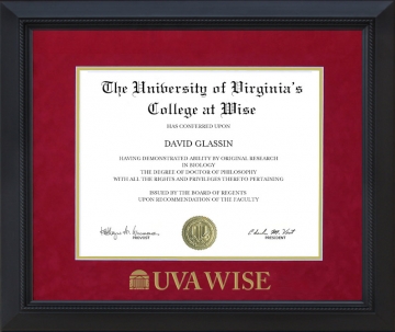 UVA Wise Diploma Frame with Embossed UltraSuede Matting