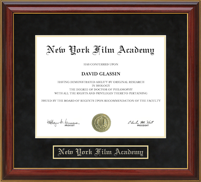 new york film academy masters degree