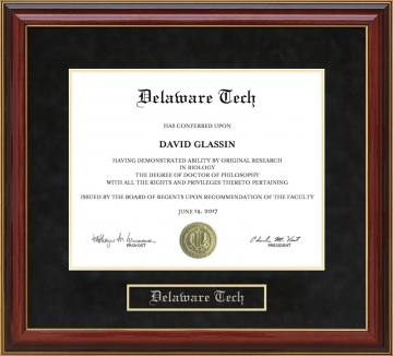 Delaware Tech (DTCC) Mahogany Diploma Frame