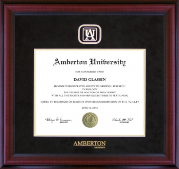 Amberton University Logo Diploma Frame with UltraSuede Matting