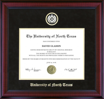 University of North Texas (UNT) Diploma Frame with UltraSuede Matting