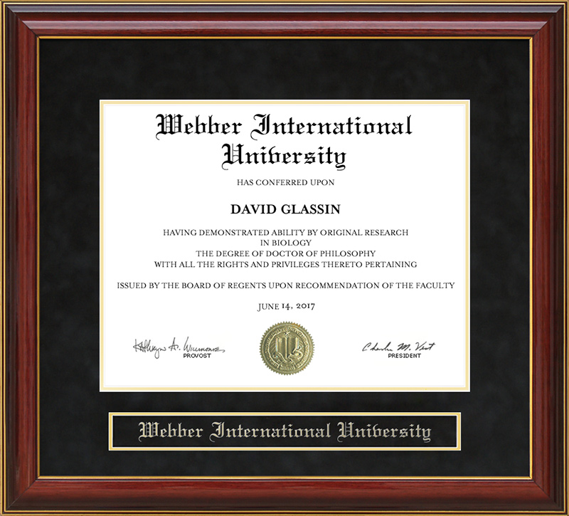 webber international university