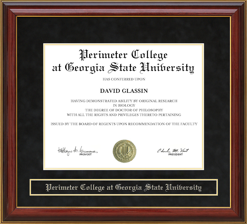 middle georgia state university online degrees