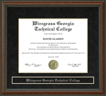 Wiregrass Georgia Technical College Diploma Frame