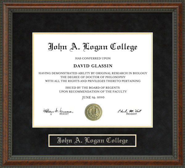 John A. Logan College (JALC) Diploma Frame by Wordyisms