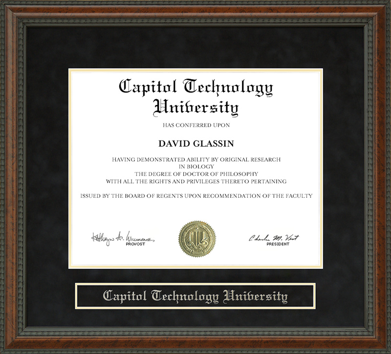 Capitol Technology University Diploma Frame by Wordyisms
