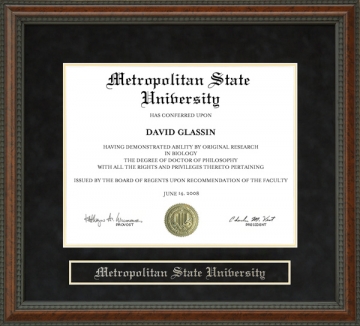 Metropolitan State University Diploma Frame