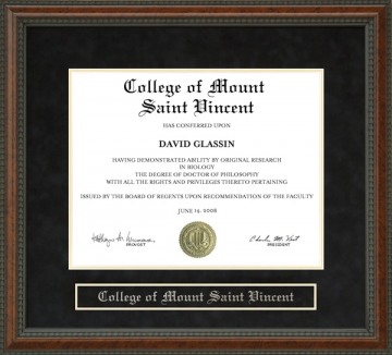 College of Mount Saint Vincent Diploma Frame