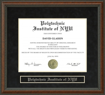 Polytechnic Institute of NYU (Poly) Diploma Frame