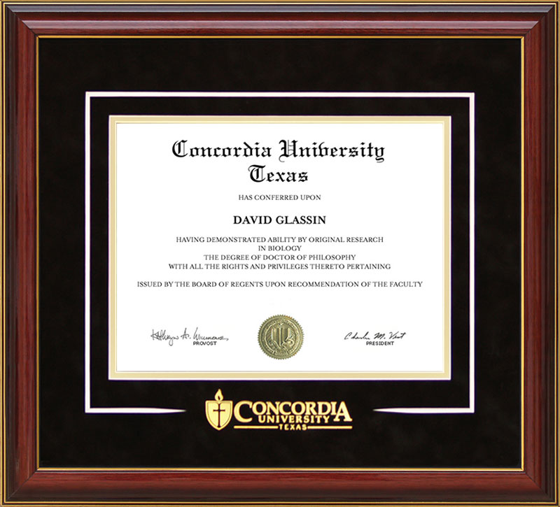 creative writing diploma concordia